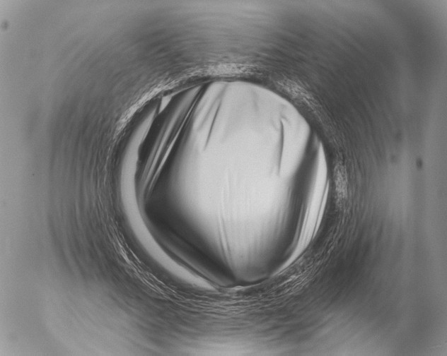 X0000053060684200508081154