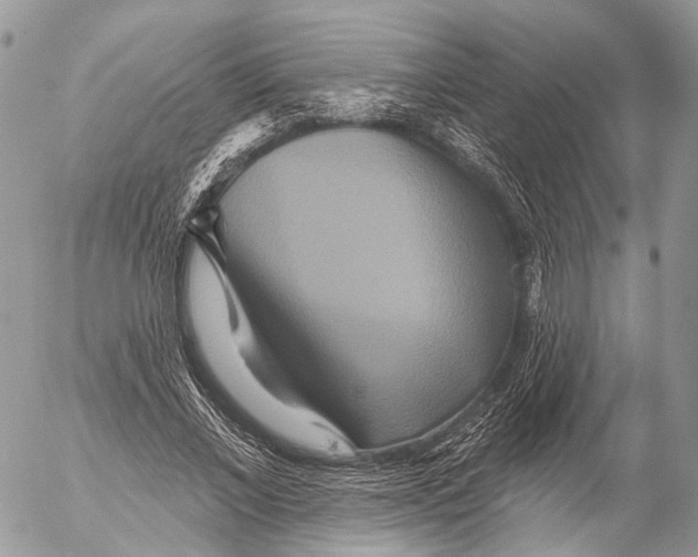 X0000053060685200508081154