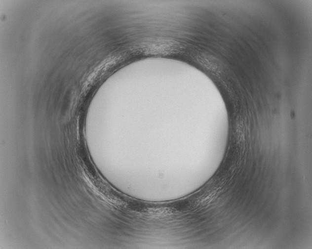 X0000053060686200508081154