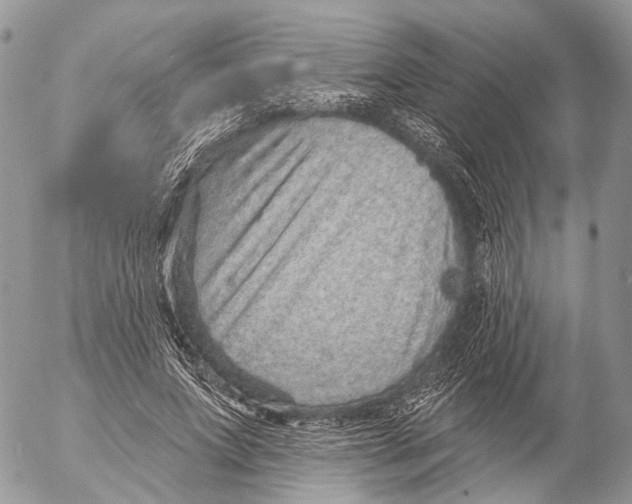 X0000053060687200508081154