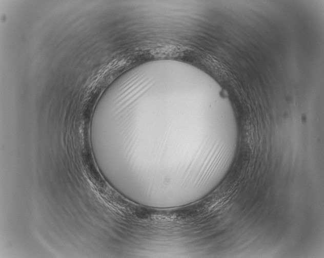 X0000053060690200508081154