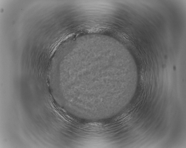 X0000053060691200508081154