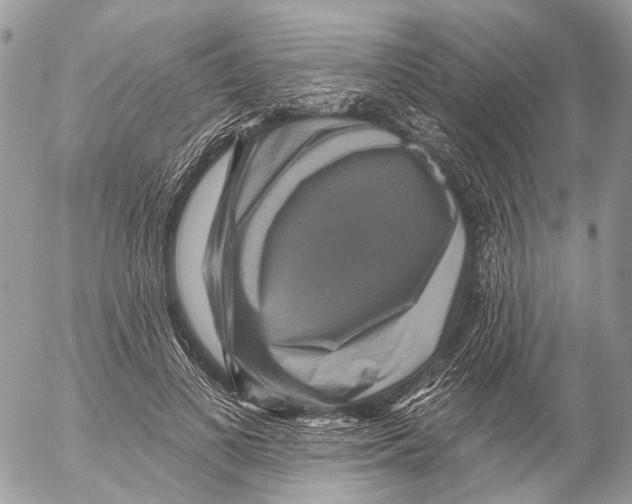 X0000053060693200508081154