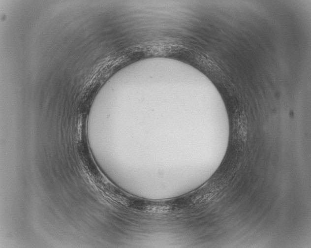 X0000053060694200508081154