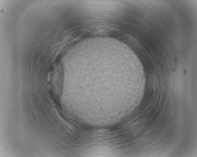 X0000053060695200508081154