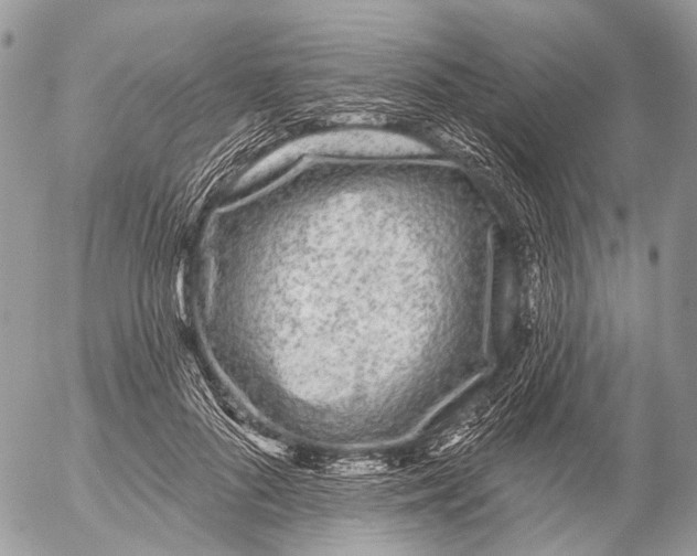 X0000053060696200508081154