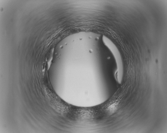 X0000053060697200508081154