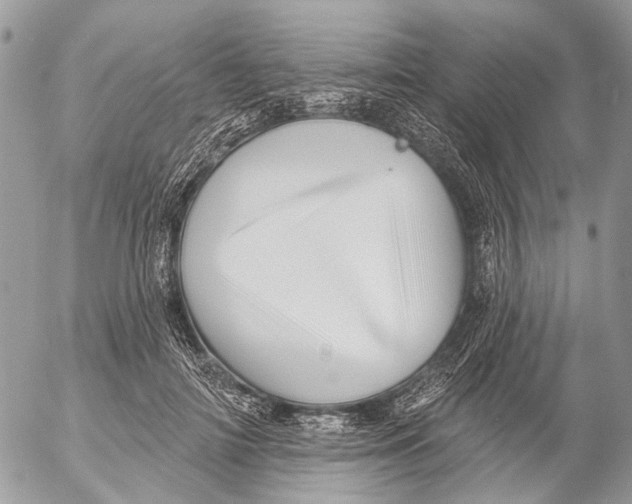 X0000053060698200508081154