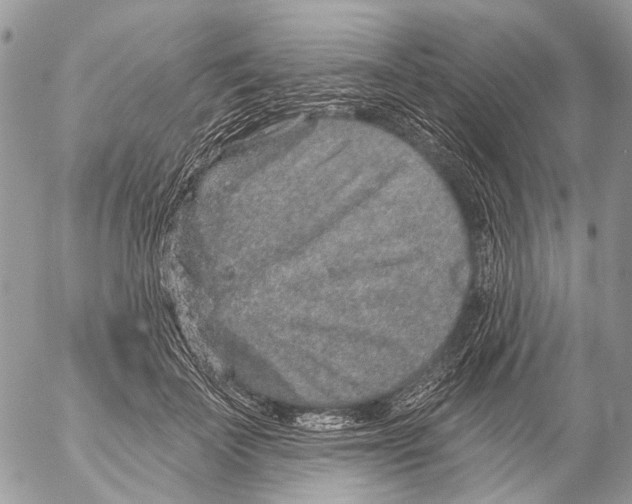 X0000053060699200508081154