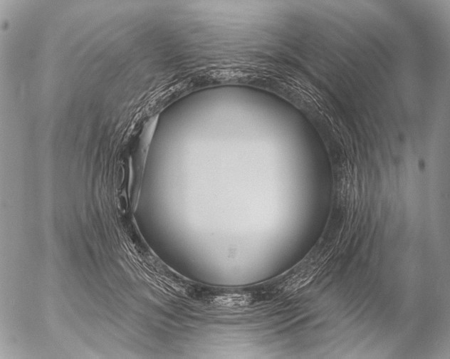 X0000053060700200508081154