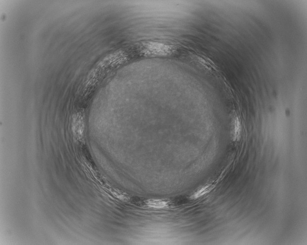 X0000053060701200508081154