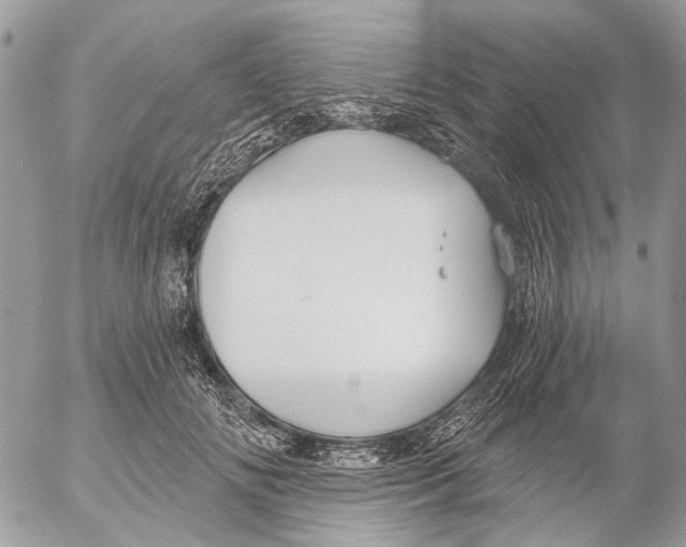 X0000053060702200508081154