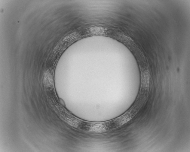 X0000053060705200508081154