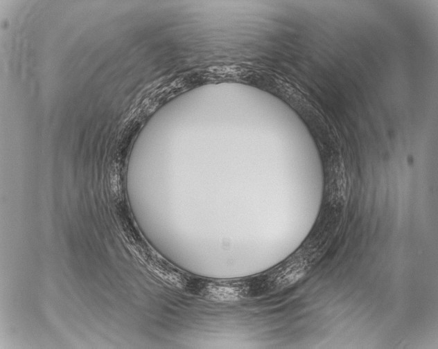 X0000053060706200508081154