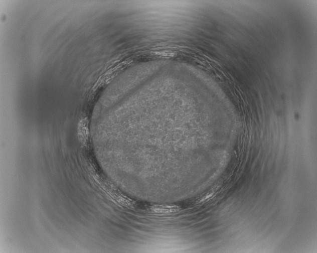 X0000053060707200508081154