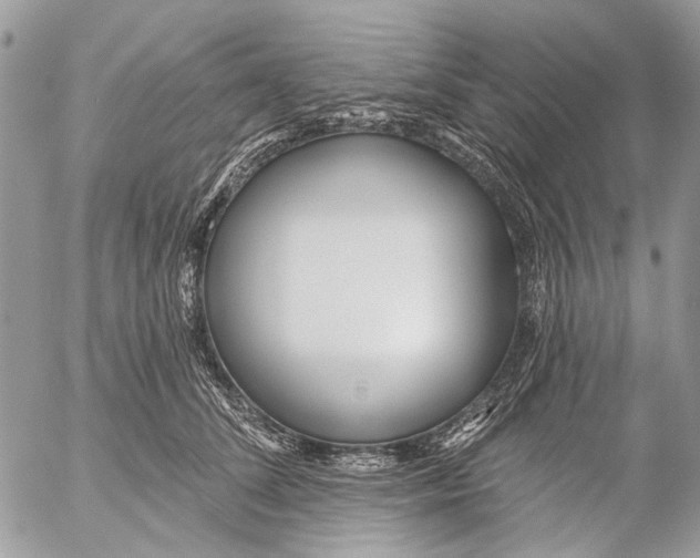 X0000053060708200508081154