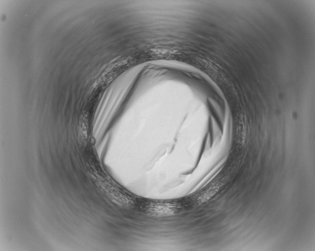 X0000053060710200508081154