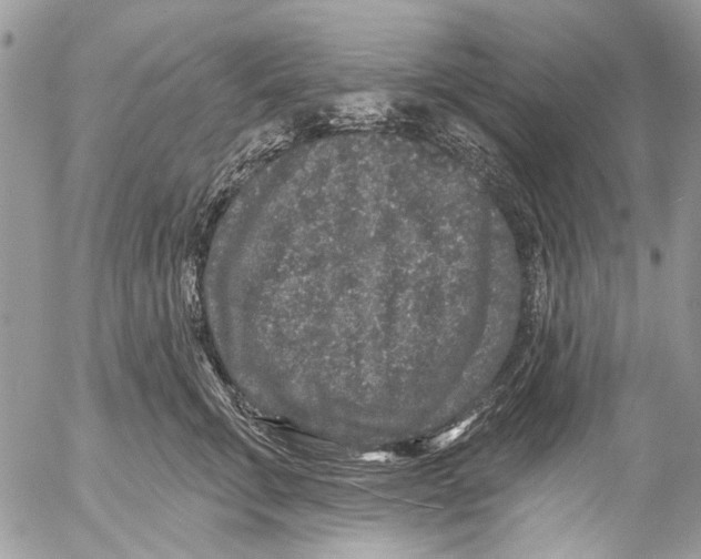 X0000053060711200508081154