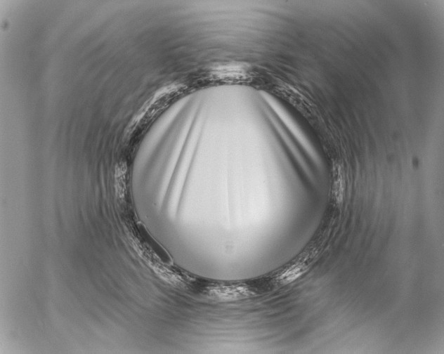 X0000053060712200508081154