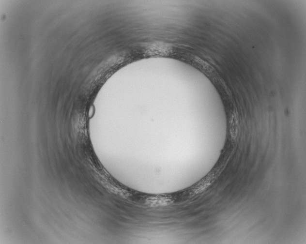 X0000053060714200508081154