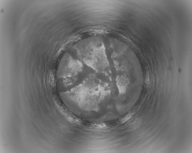 X0000053060715200508081154