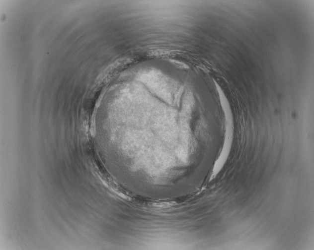 X0000053060716200508081154