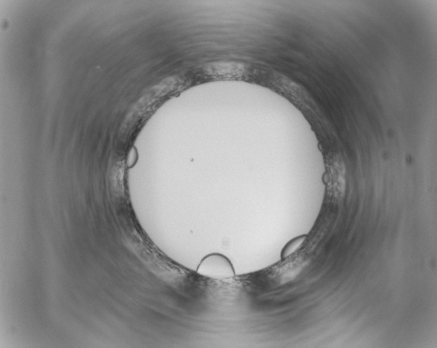 X0000053060717200508081154