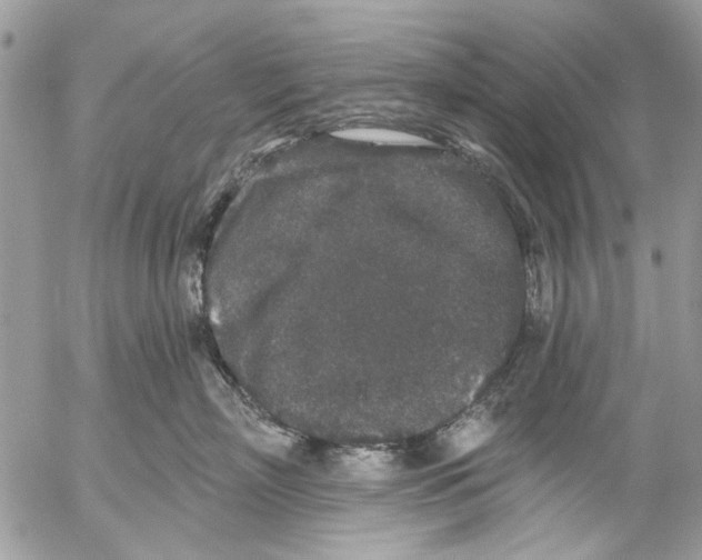 X0000053060718200508081154