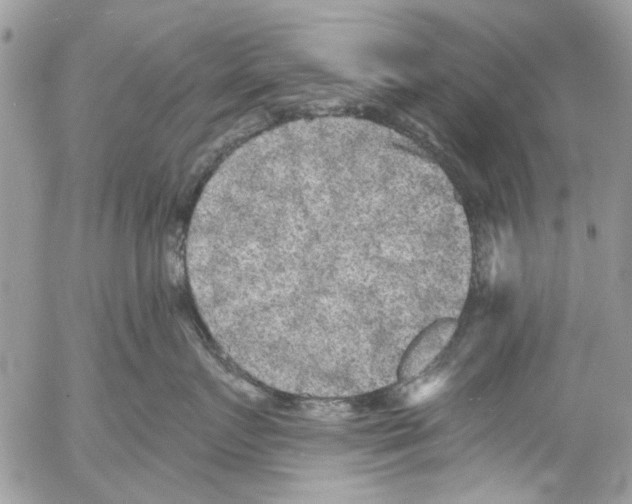 X0000053060719200508081154