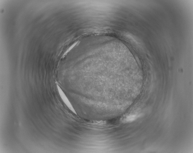 X0000053060720200508081154