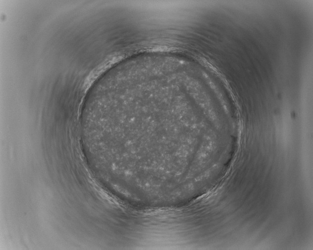 X0000053060721200508081153