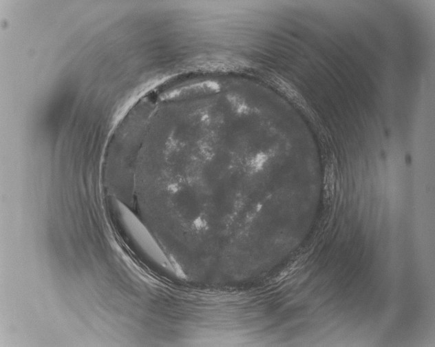 X0000053060722200508081153