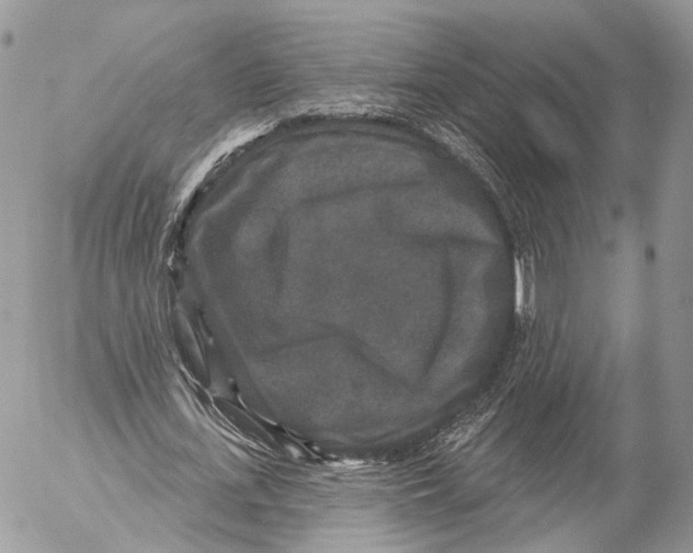 X0000053060723200508081153