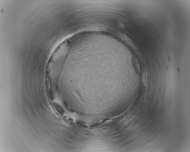 X0000053060724200508081153