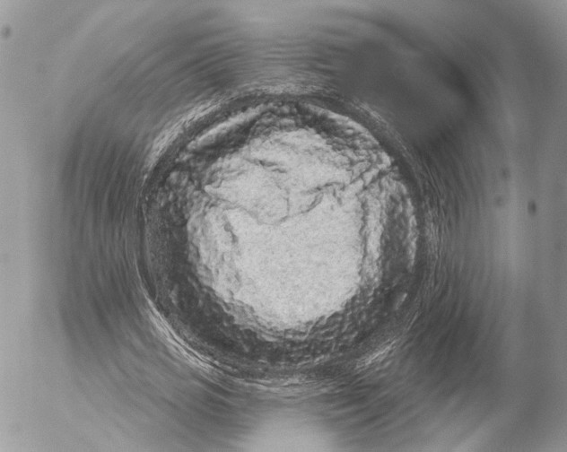 X0000053060725200508081153