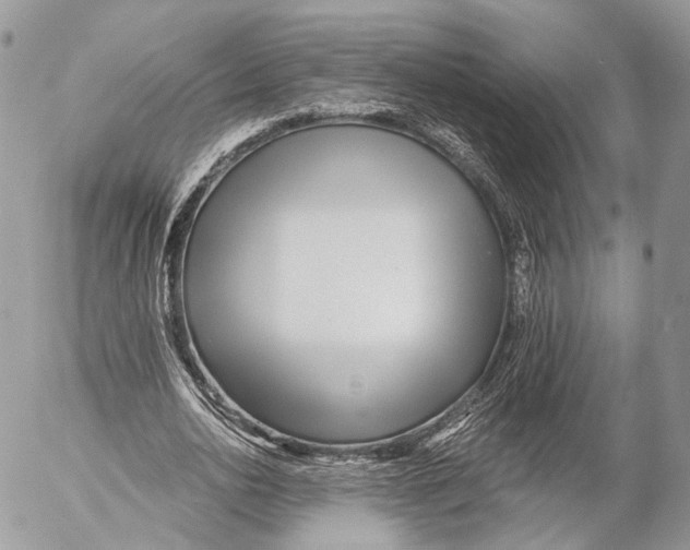 X0000053060726200508081153