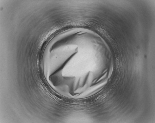 X0000053060727200508081153