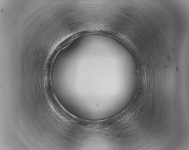 X0000053060728200508081153