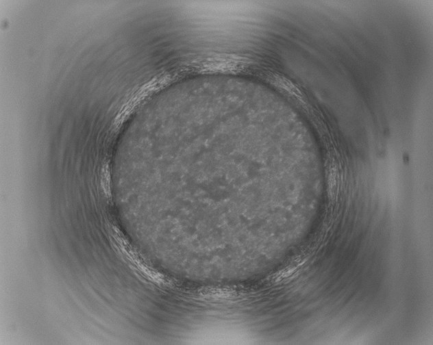 X0000053060729200508081153