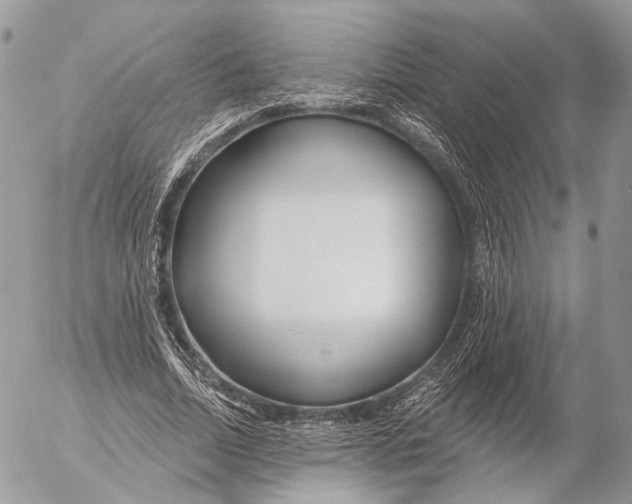 X0000053060730200508081153