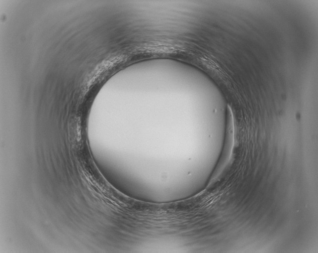 X0000053060731200508081153