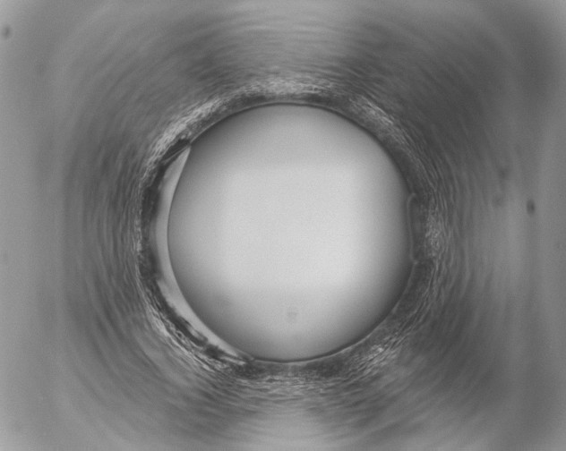 X0000053060732200508081153