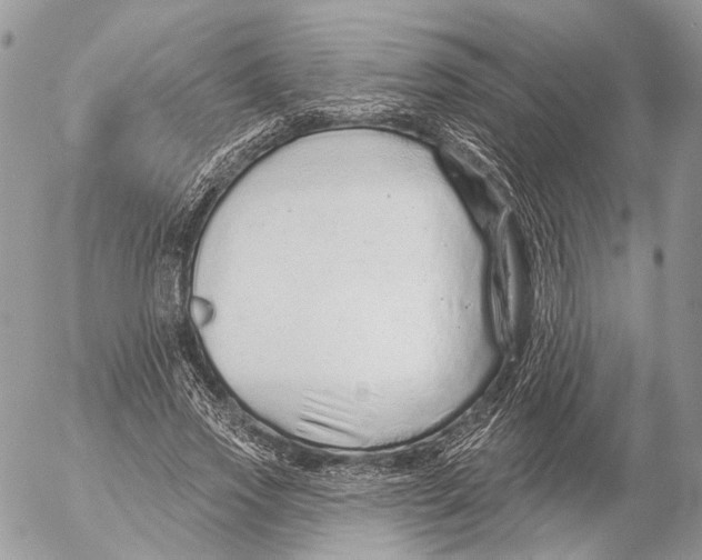 X0000053060733200508081153