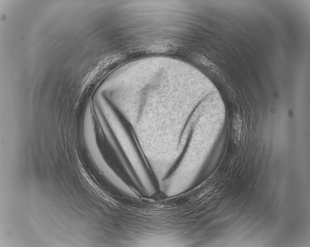 X0000053060734200508081153