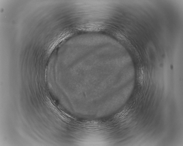 X0000053060735200508081153