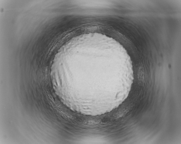 X0000053060737200508081153