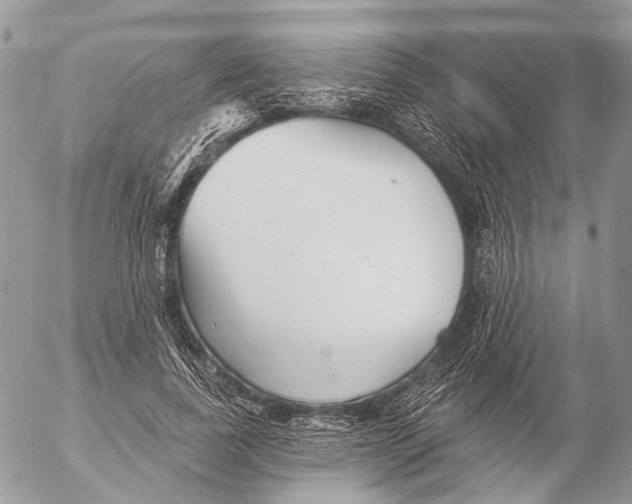 X0000053060739200508081153