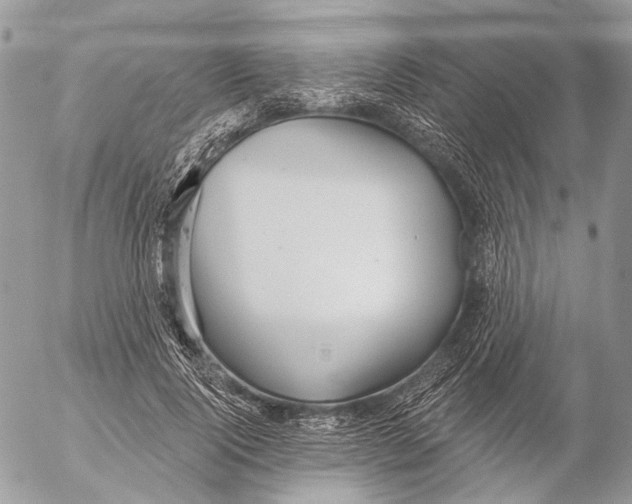 X0000053060740200508081153