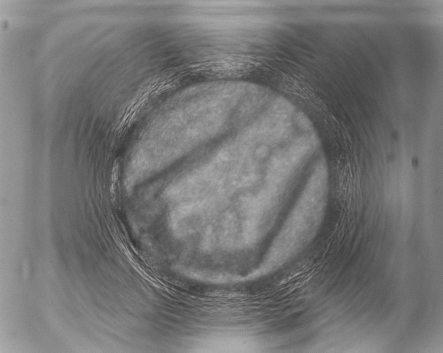 X0000053060742200508081153