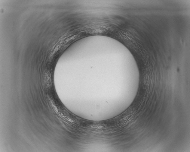 X0000053060743200508081153